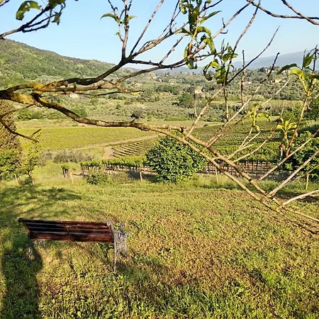 Casa Della Poggiole